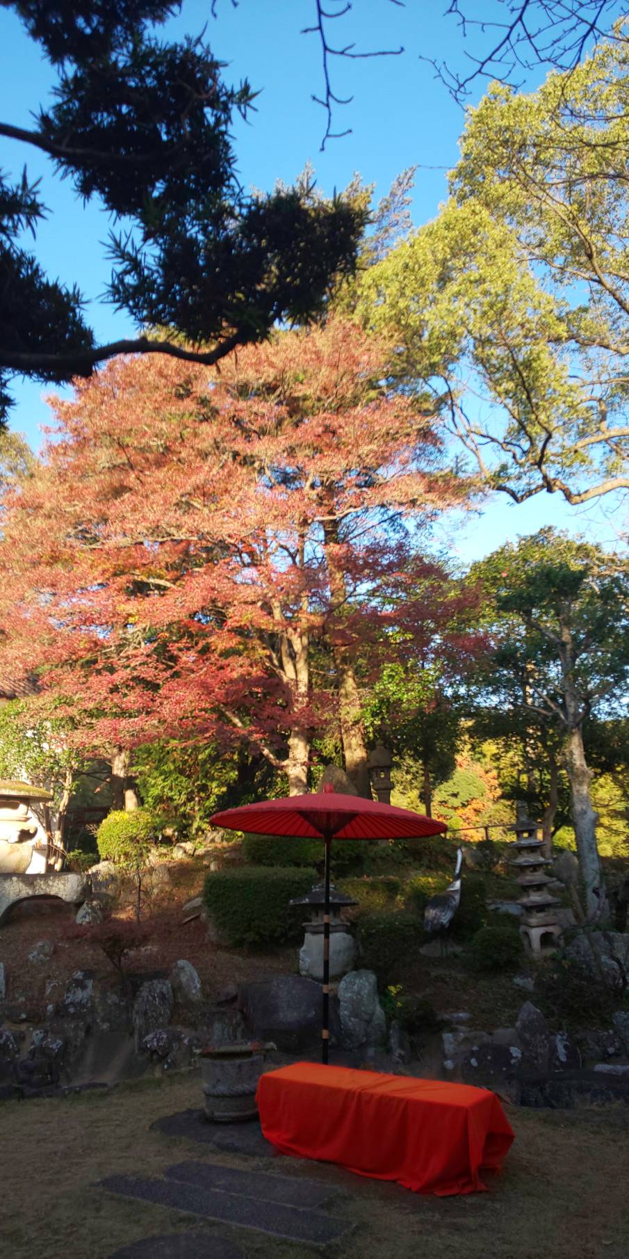山崎7