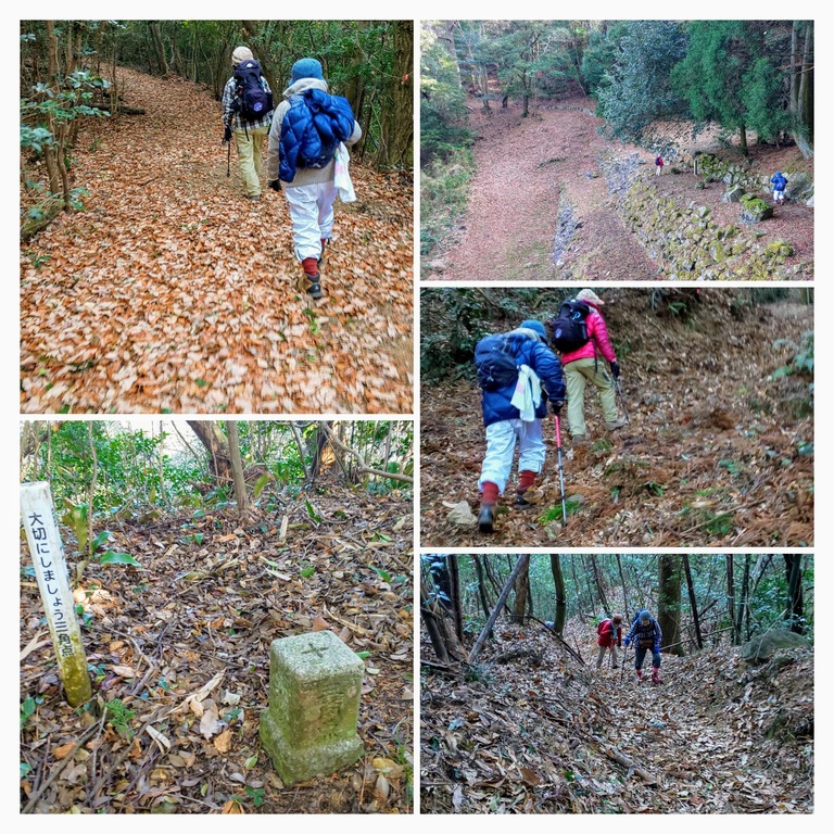 DSC_0804-COLLAGE