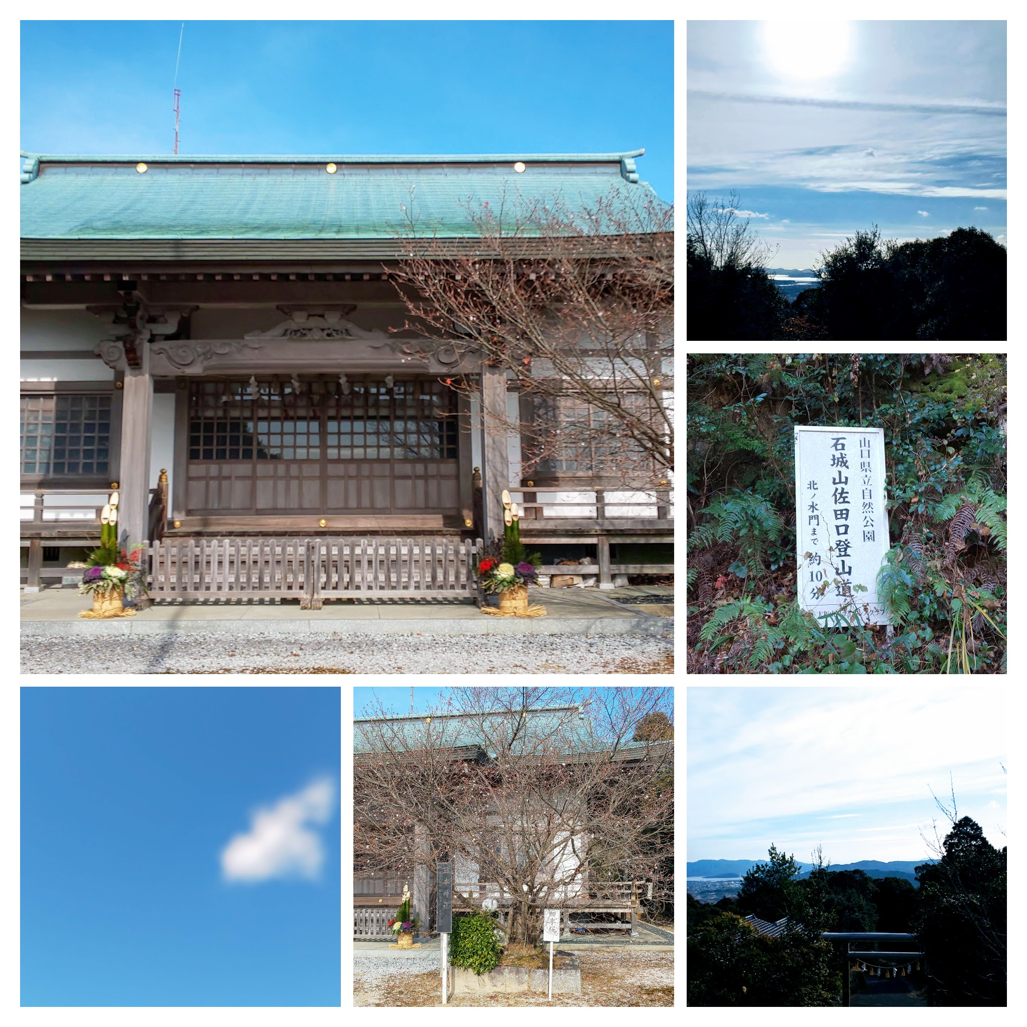 DSC_0750-COLLAGE