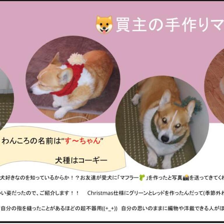 犬のマフラー