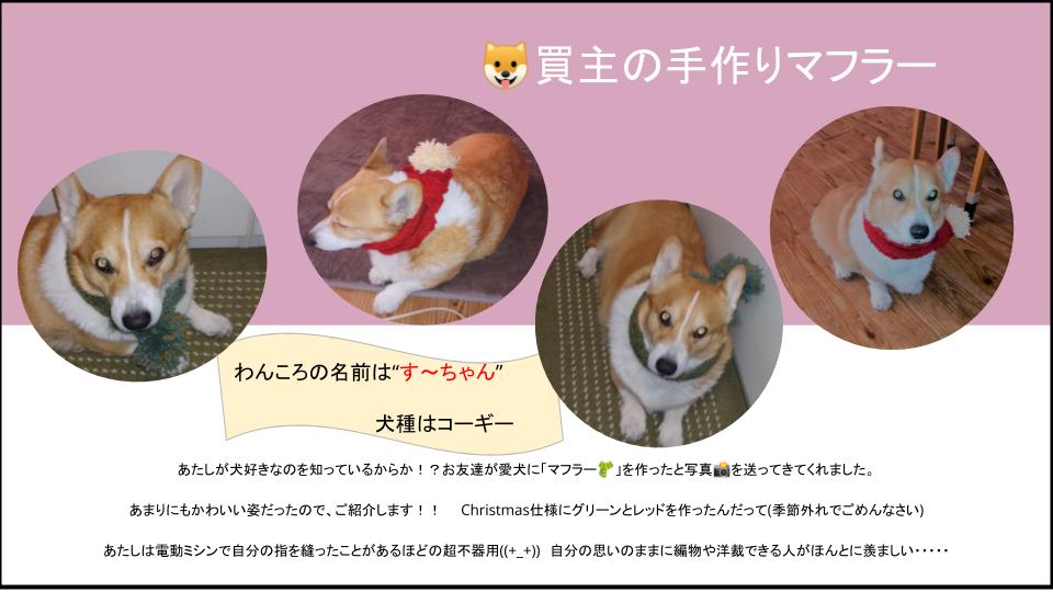 犬のマフラー