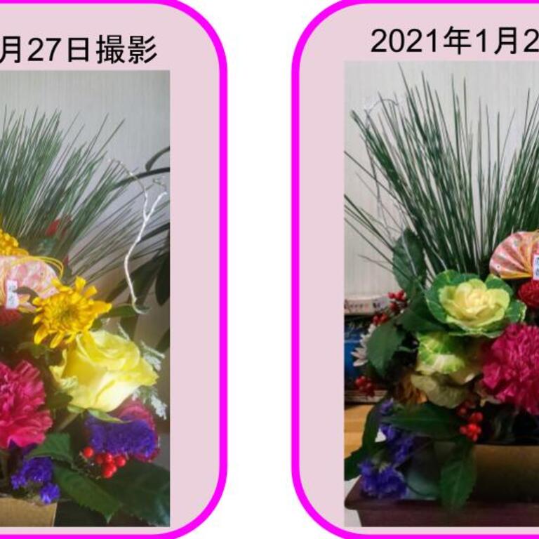 お正月の花