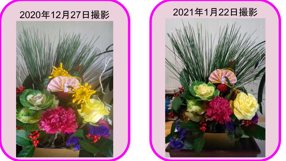 お正月の花
