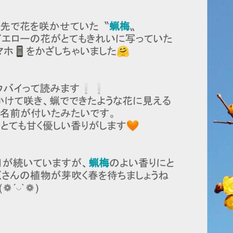 2月12日ブログ