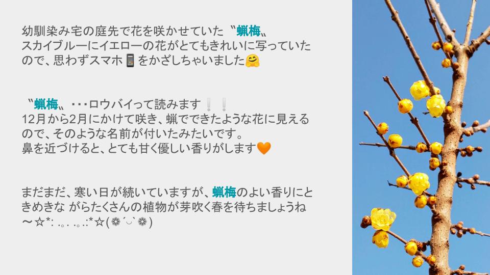 2月12日ブログ