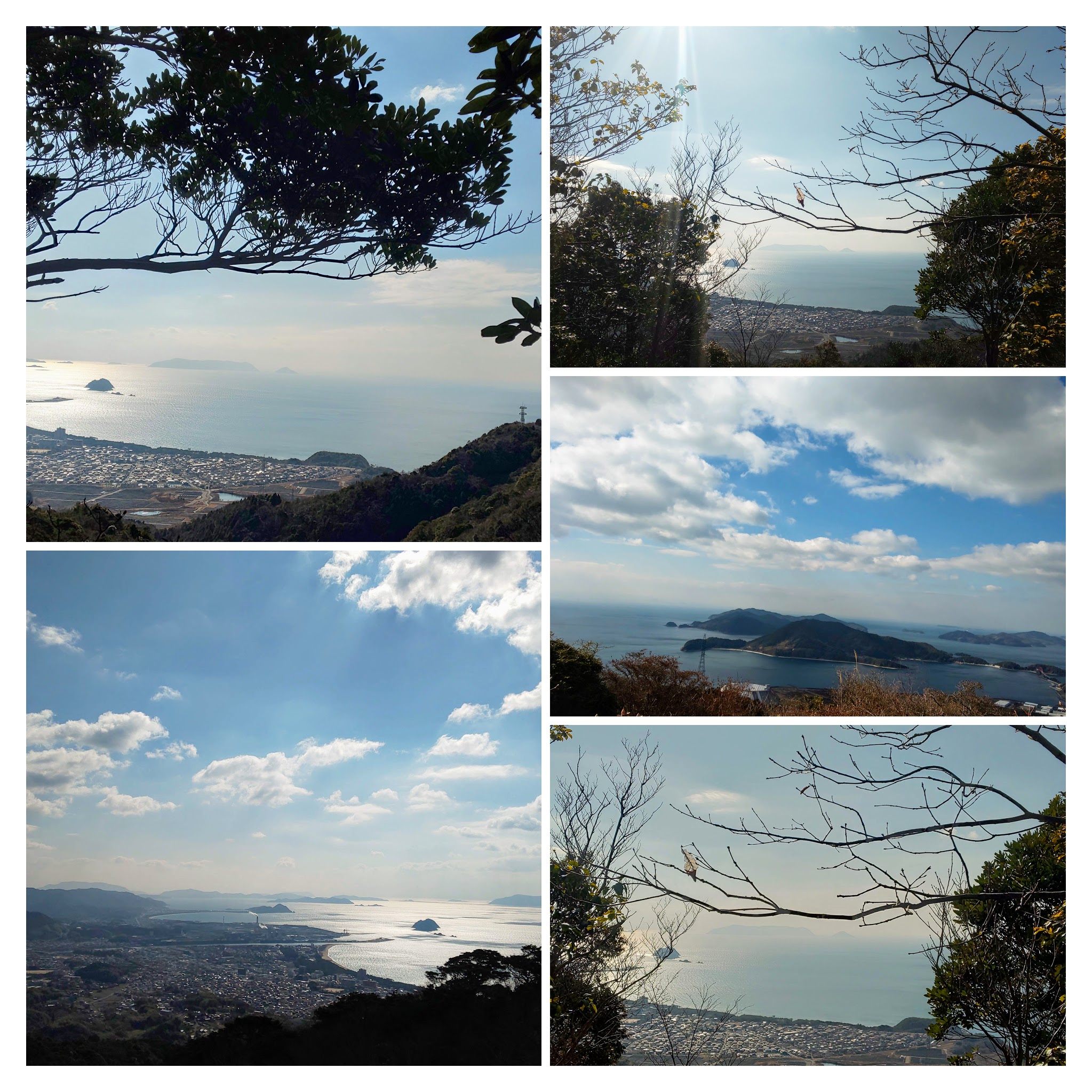 DSC_0899-COLLAGE