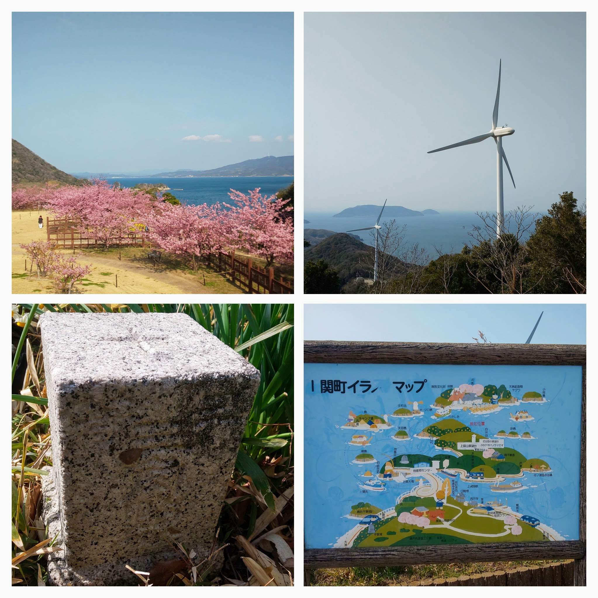 DSC_0979-COLLAGE