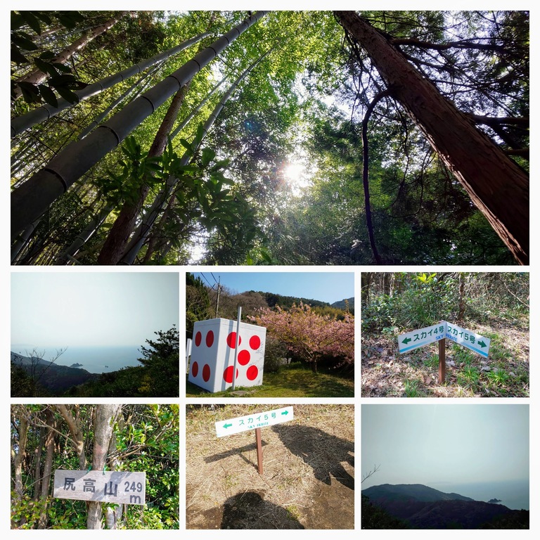 DSC_0292-COLLAGE