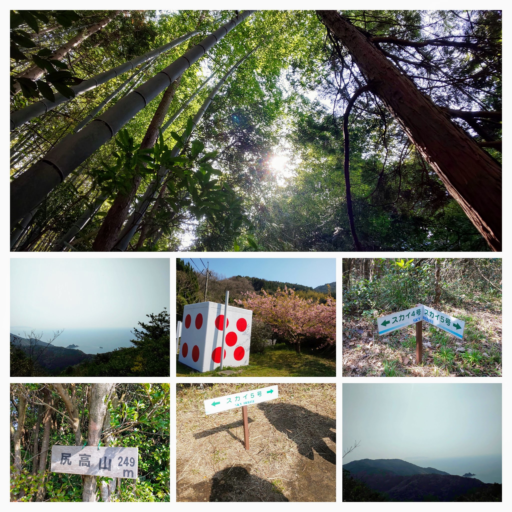 DSC_0292-COLLAGE
