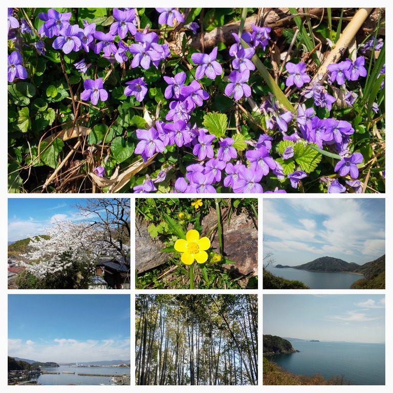 DSC_0334-COLLAGE