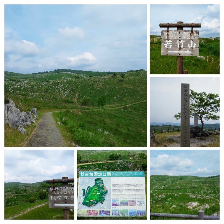 DSC_0689-COLLAGE