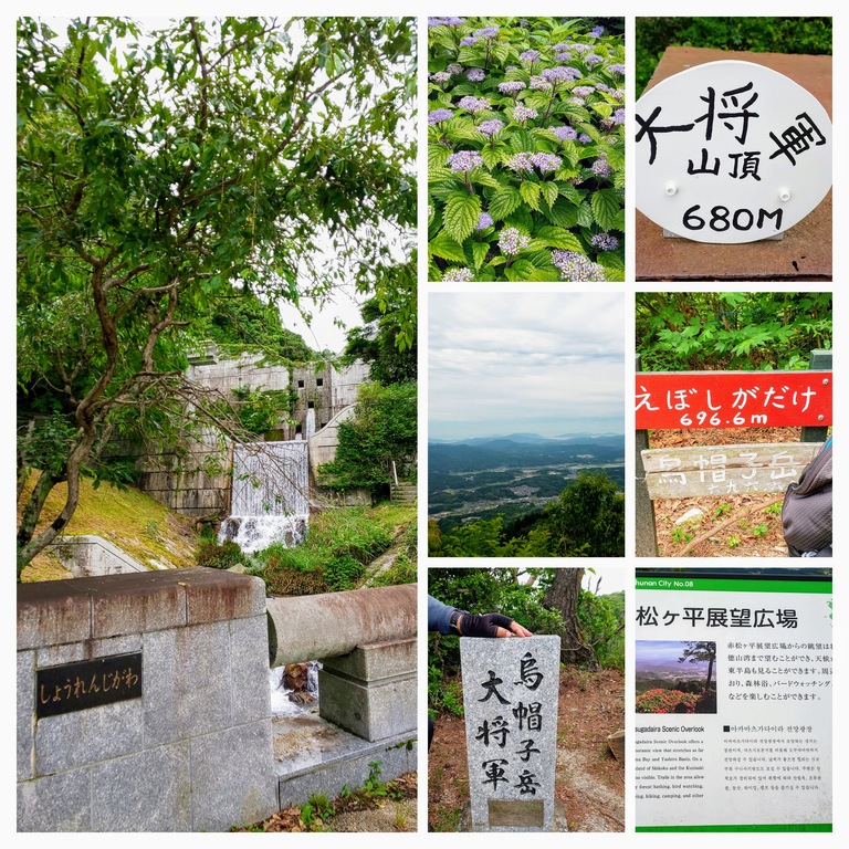 DSC_0020-COLLAGE
