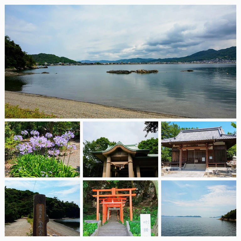 DSC_0071-COLLAGE