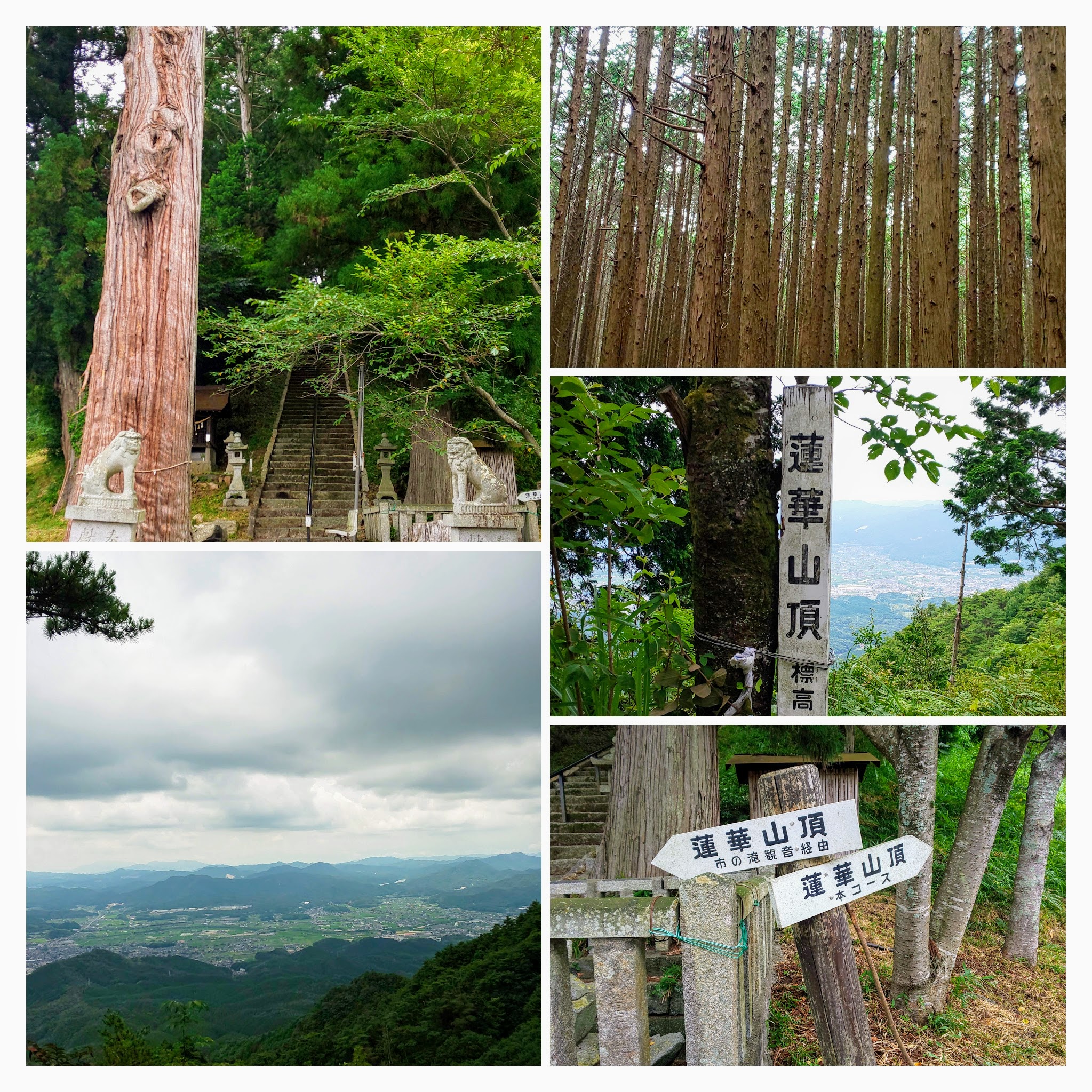 DSC_0084-COLLAGE