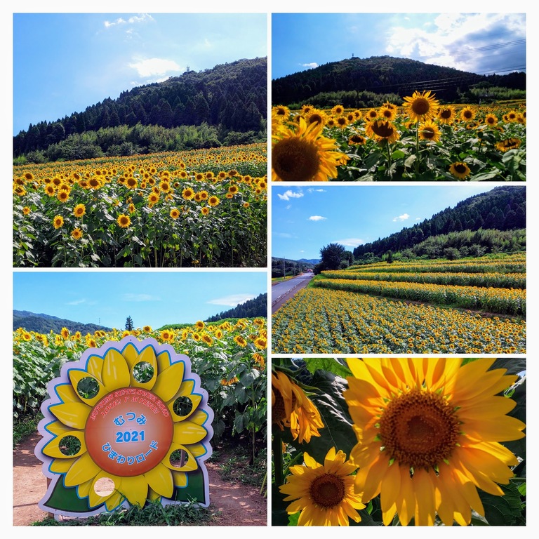 DSC_0185-COLLAGE