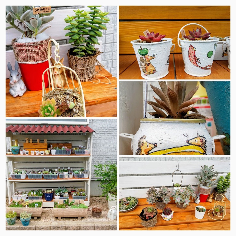 DSC_0333-COLLAGE