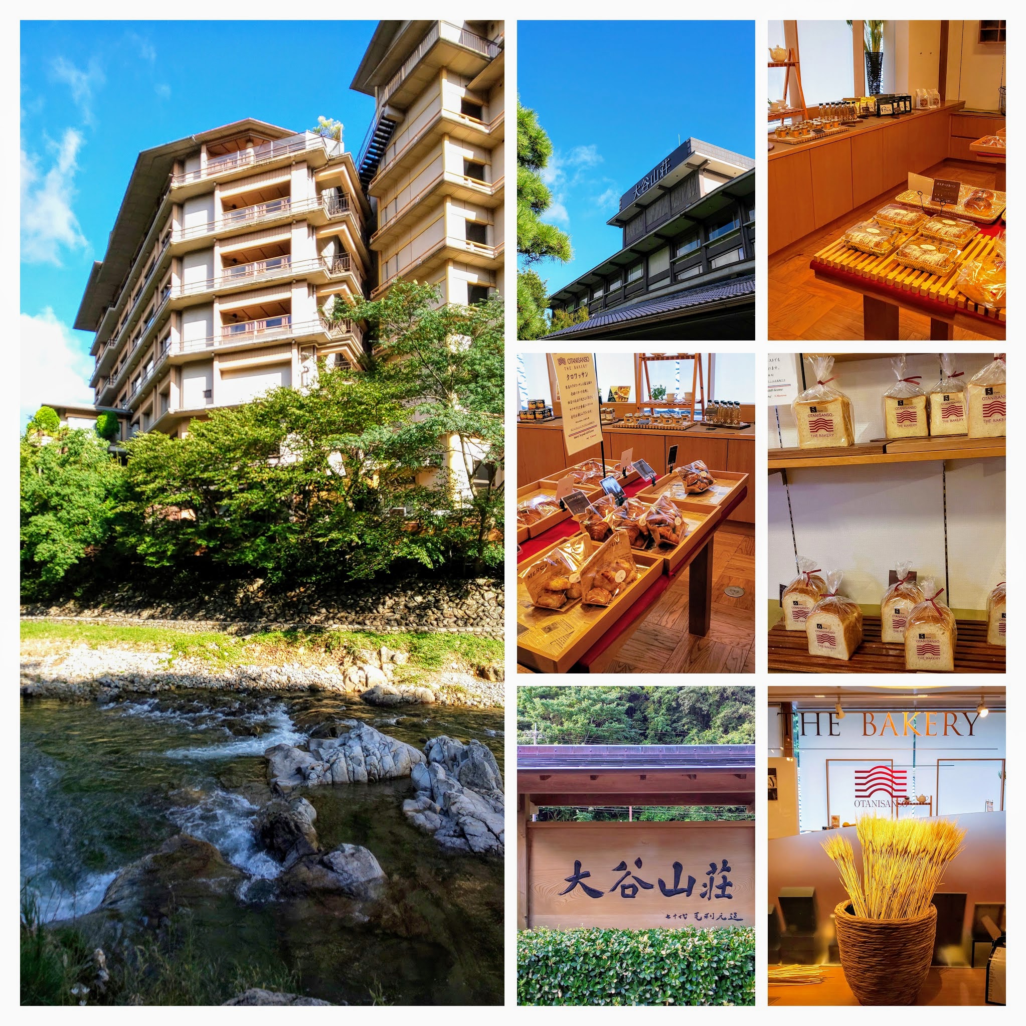 DSC_0242-COLLAGE