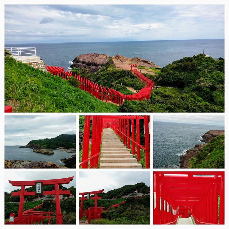 DSC_0250-COLLAGE