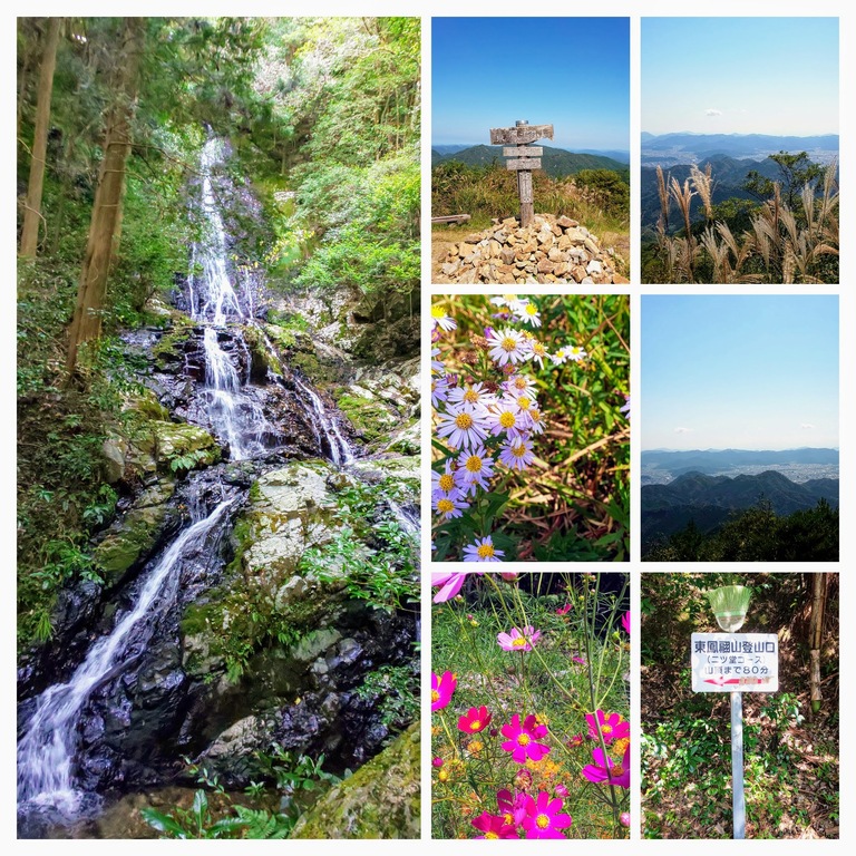 DSC_0468-COLLAGE