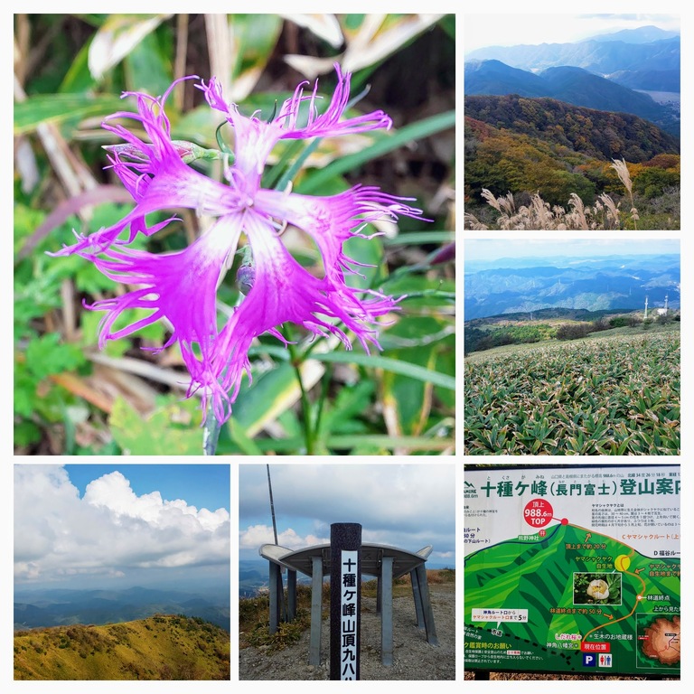 DSC_0622-COLLAGE