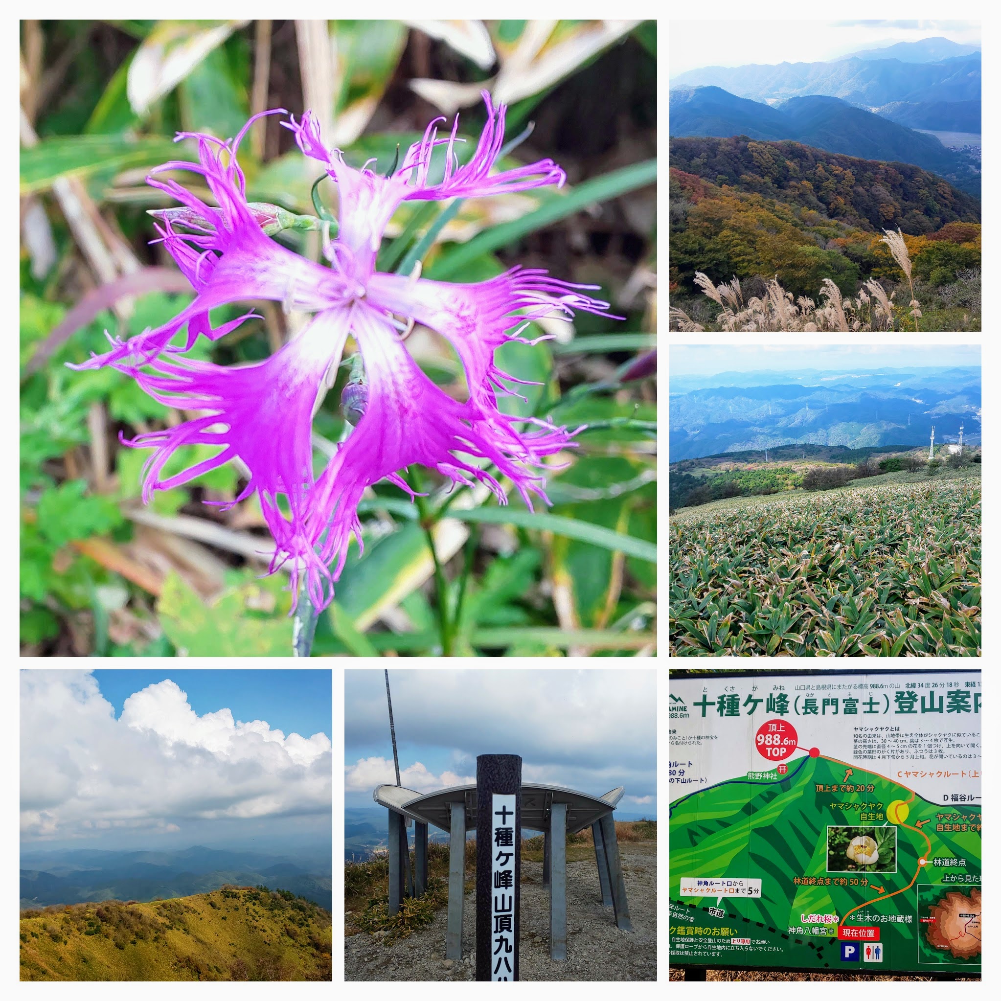 DSC_0622-COLLAGE