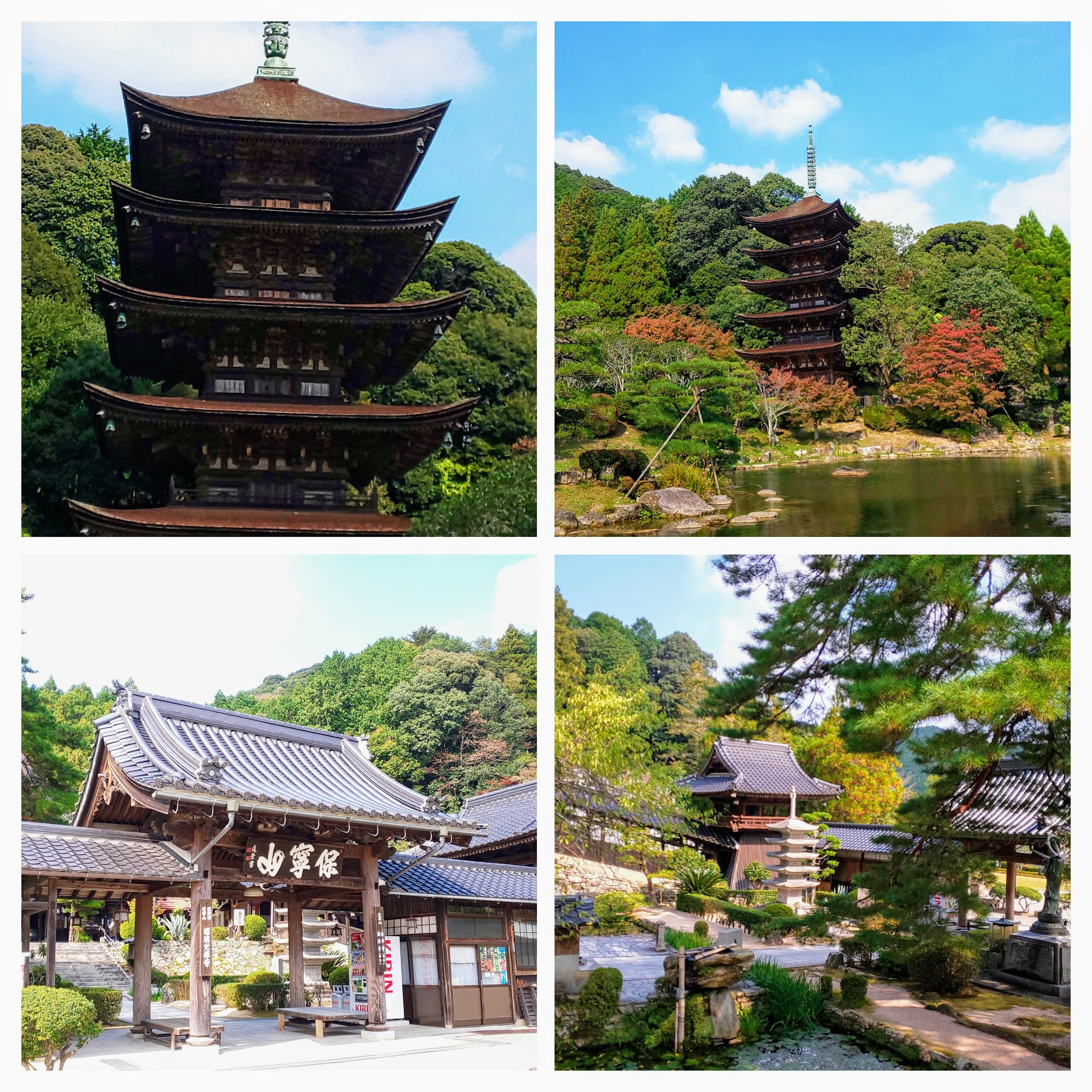 DSC_0613-COLLAGE