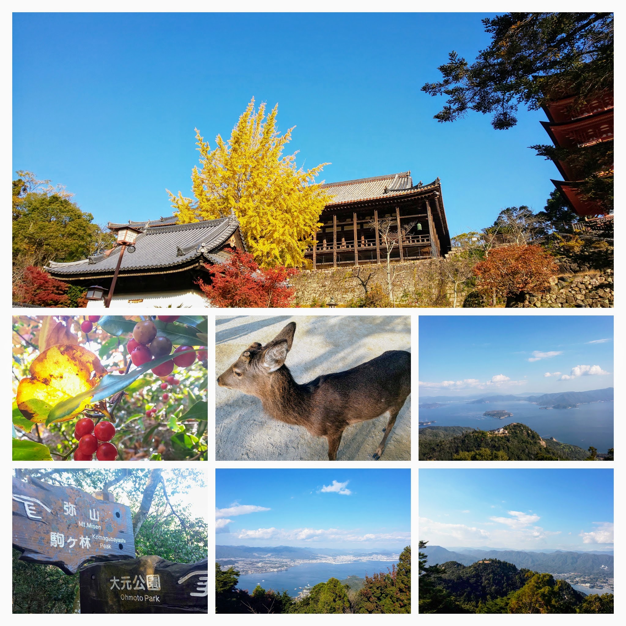 DSC_0701-COLLAGE
