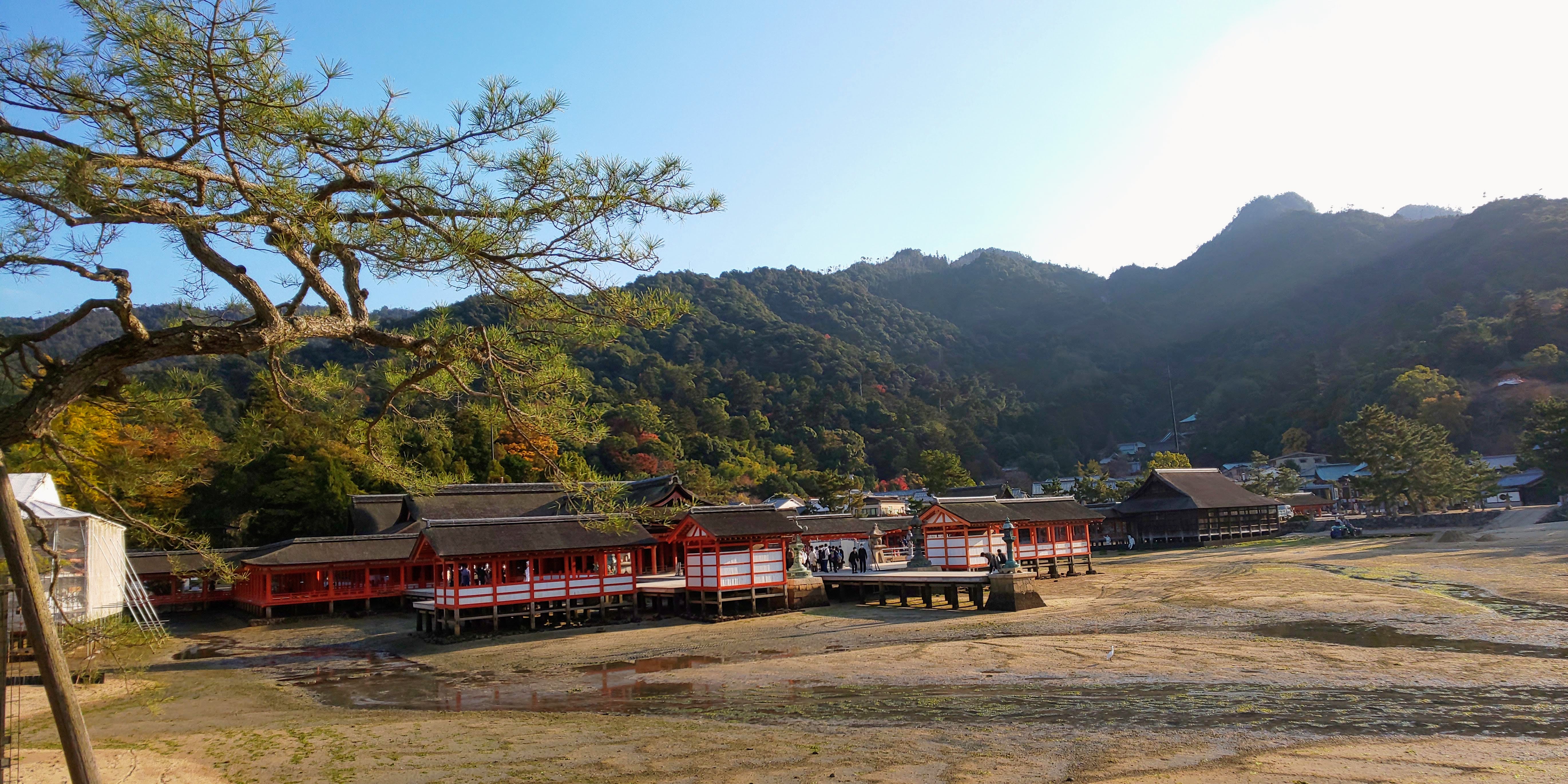 神社