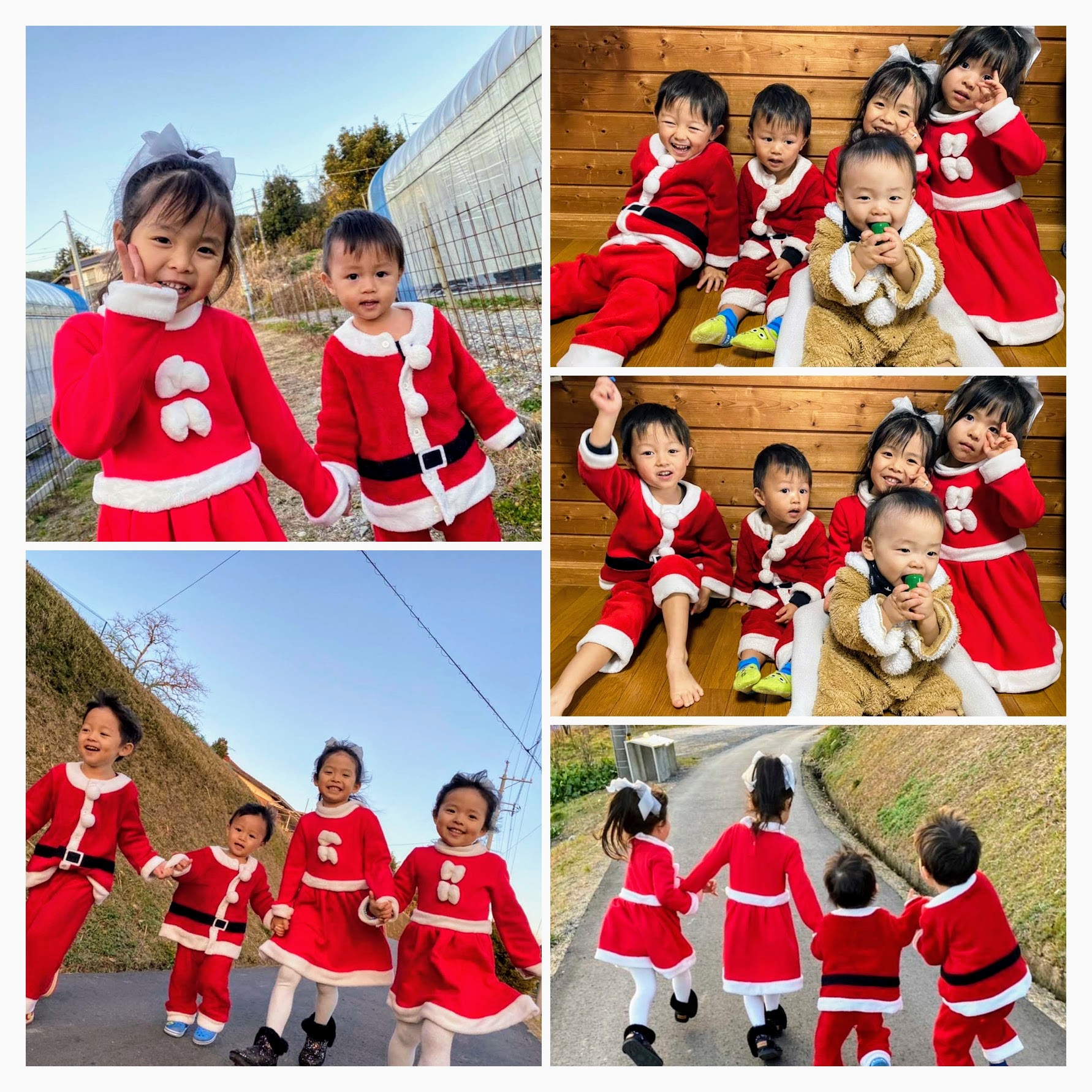 1641785324350-COLLAGE