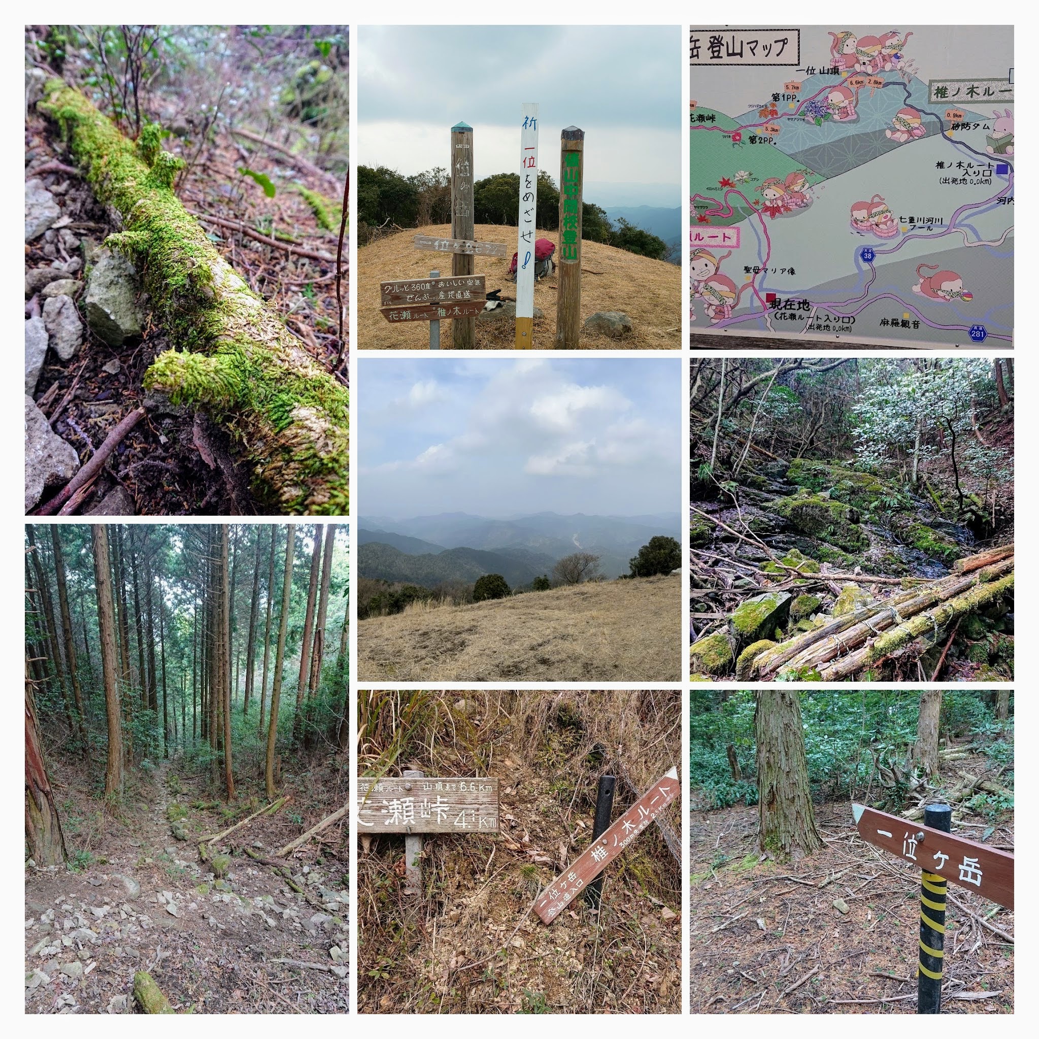 DSC_0896-COLLAGE