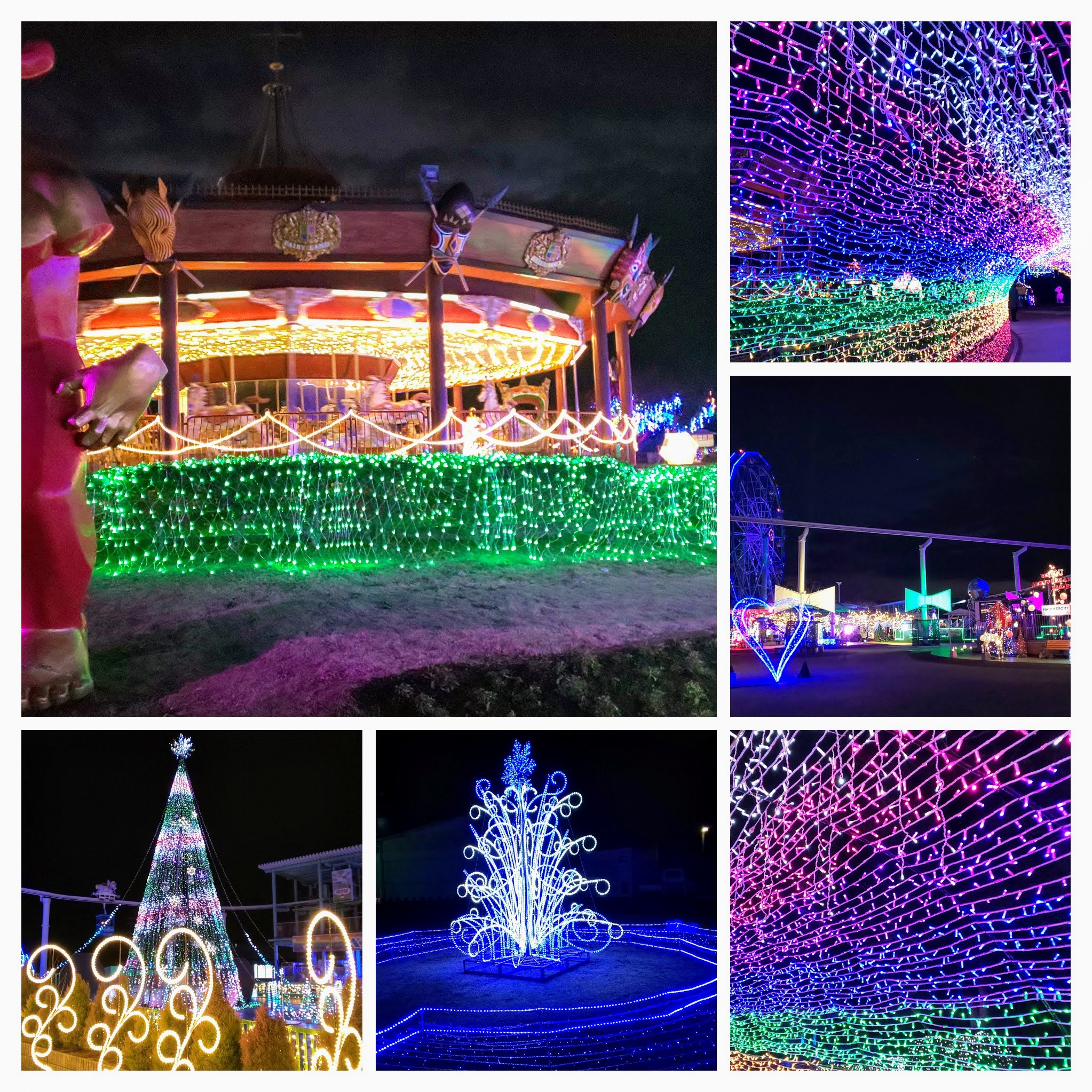 DSC_0906-COLLAGE