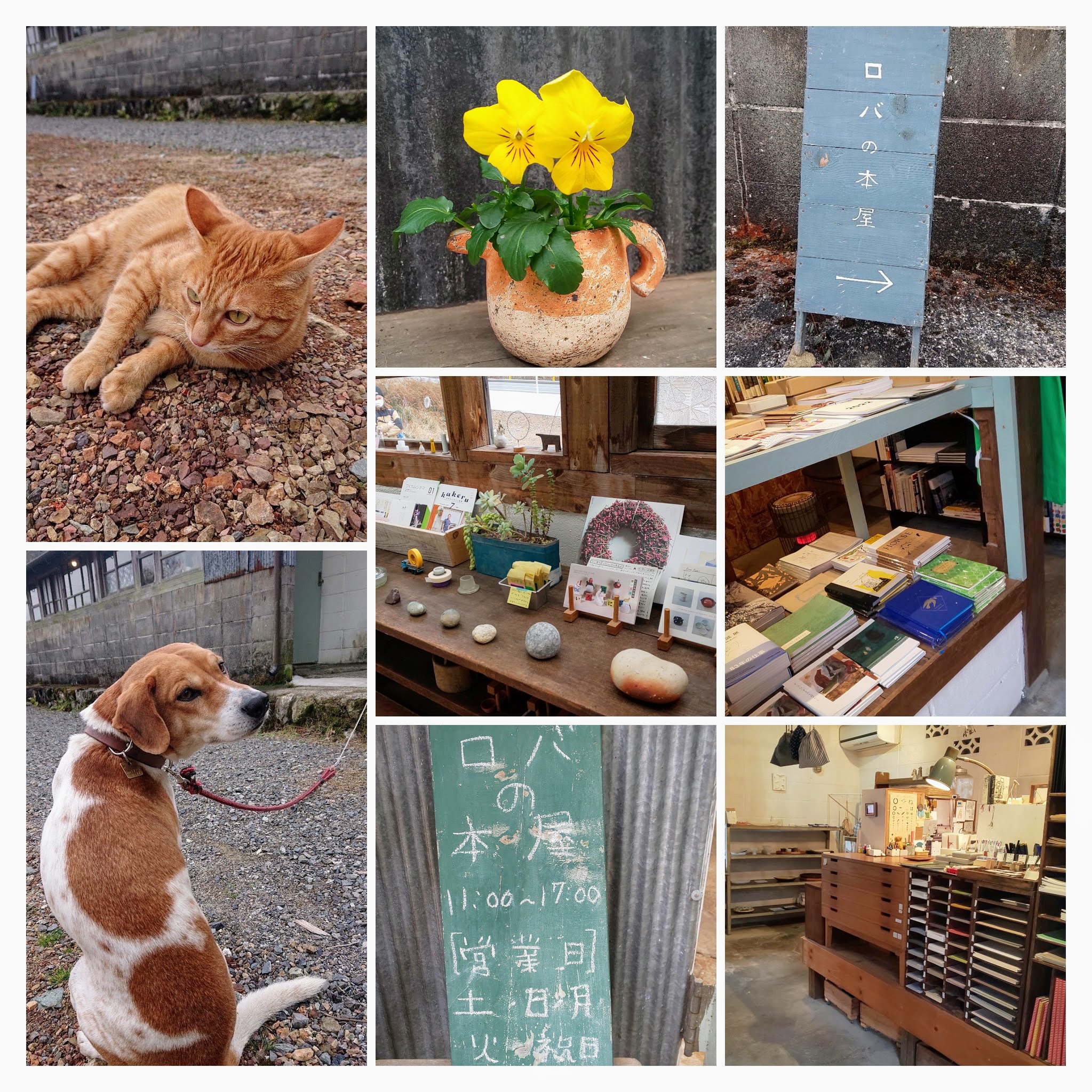 DSC_0898-COLLAGE